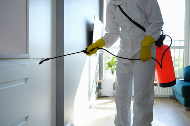 Best Mold Cleaning Services  in Cactus Flats, AZ
