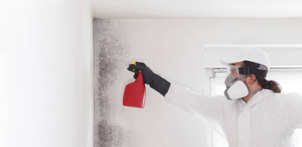 Best Crawl Space Mold Removal  in Cactus Flats, AZ