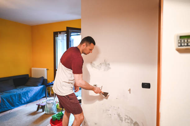 Best Mold Remediation Services  in Cactus Flats, AZ